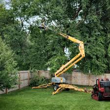 Best Palm Tree Trimming  in Jenkins, KY