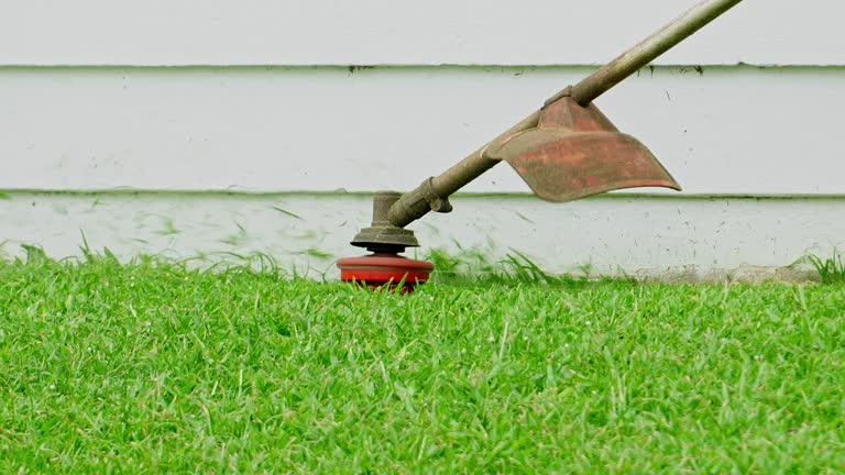 Best Lawn Drainage Solutions  in Jenkins, KY