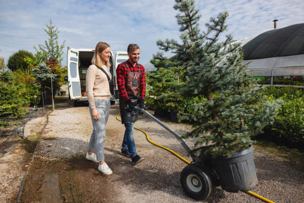 Best Firewood Processing and Delivery  in Jenkins, KY